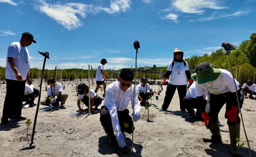 Gobel Tanam Puluhan Ribu Mangrove di Pesisir Pohuwato Gorontalo